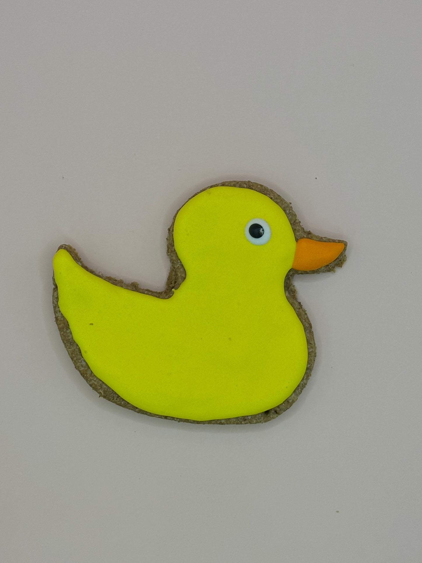 Ducks