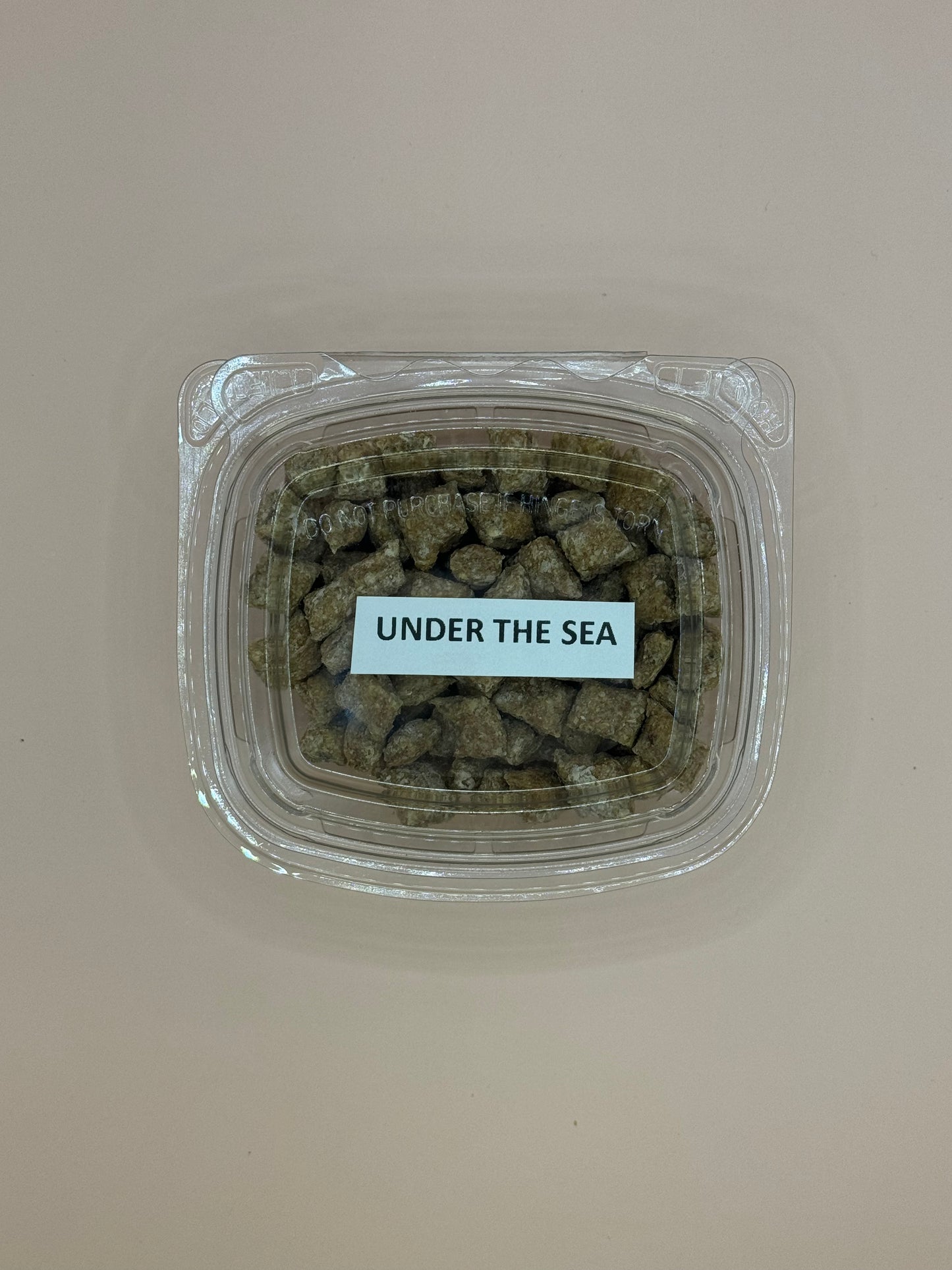Under The Sea